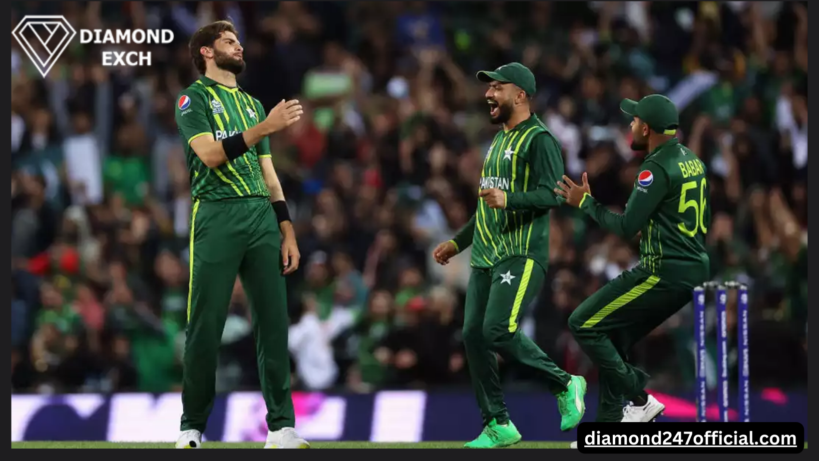 Pakistan seal final berth with record-breaking chase against South Africa